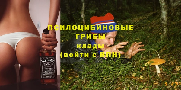 меф Белокуриха