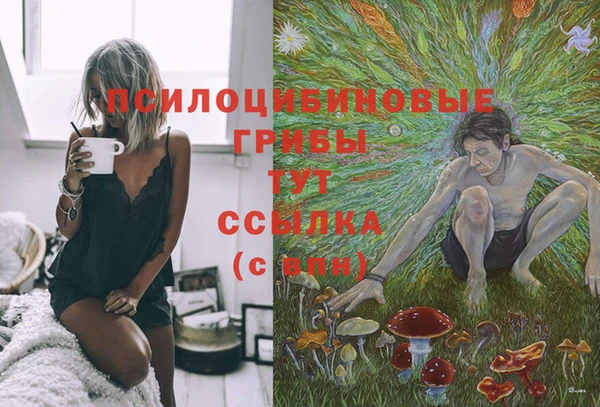 ешки Белоозёрский